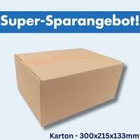 Ecoline-Karton-Päckchen-Paket-300x215x133mm