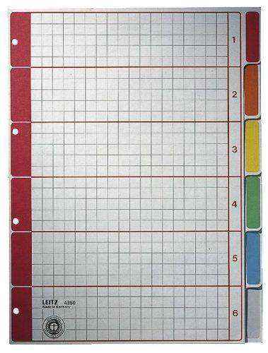 Register Leitz 4350 Blanko A4 Karton 6 Bl. grau Tabs farbig /1St