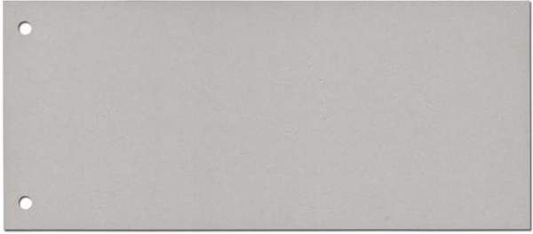 Trennstreifen Trennlaschen 10,5x24cm 170g gelocht grau 100 Stück