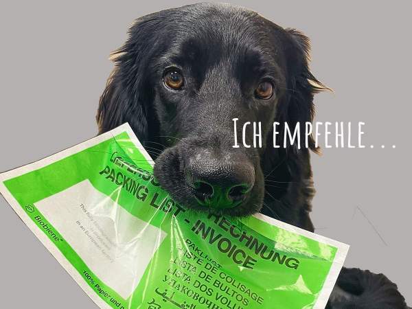 Papier Dokumententaschen | DIN Lang 220x110mm | Grün | 100 Stück Kleinpackung